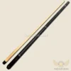 cơ am cues s1